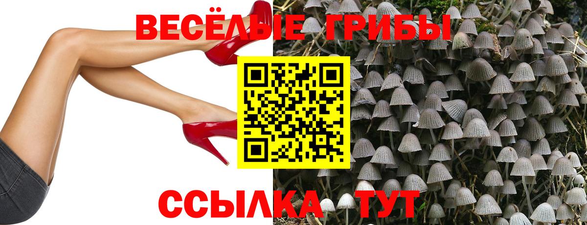 Галлюциногенные грибы Psilocybine cubensis Советская Гавань