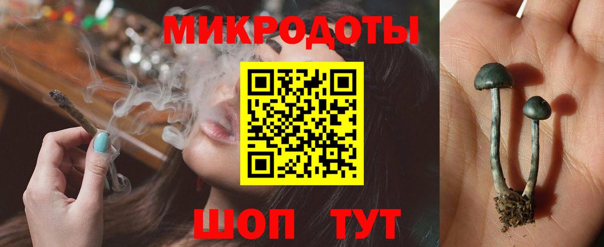 Советская Гавань  Псилоцибиновые грибы MAGIC MUSHROOMS  Галлюциногенные грибы ЛСД  как найти закладки  Вход с VPN 